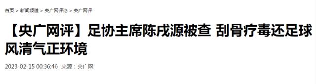 媒体聚焦：足坛反腐掀起狂飙 要打“铁”更要溯“源”